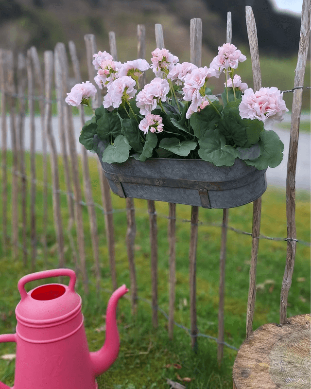 ALTANKASSE Sink 