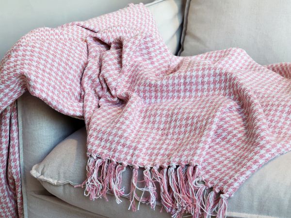 Hovedbilde PLEDD AIX m Ruter 13 Rasberry ...