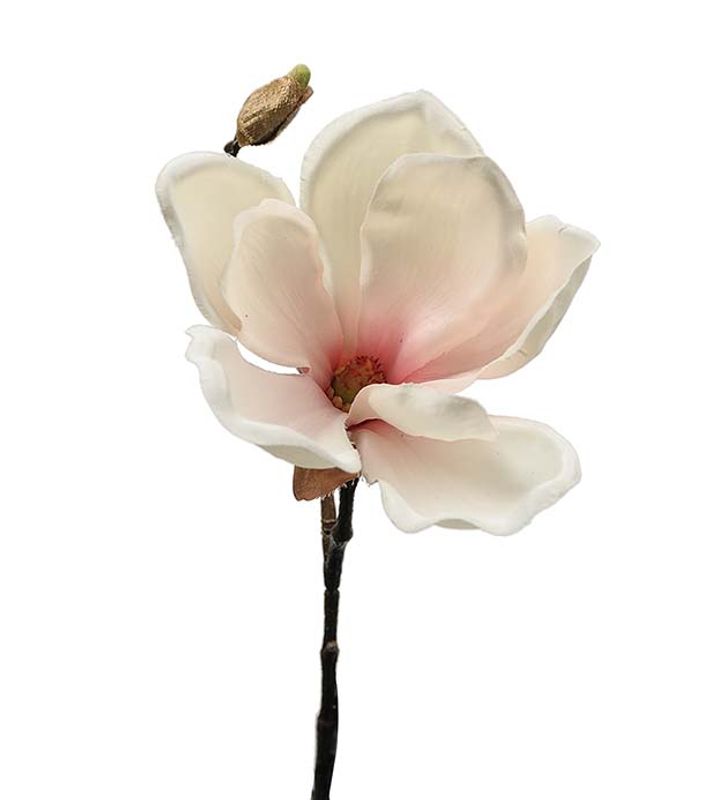 KVIST Magnolia Rosa