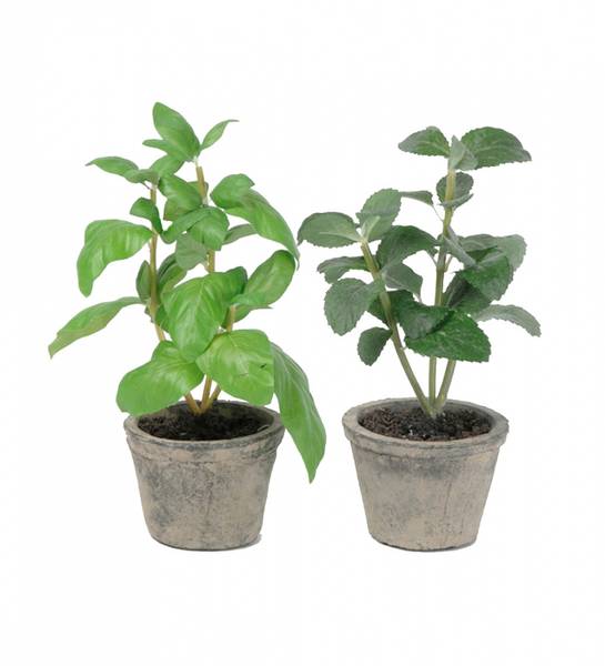 Hovedbilde Kryddermix 