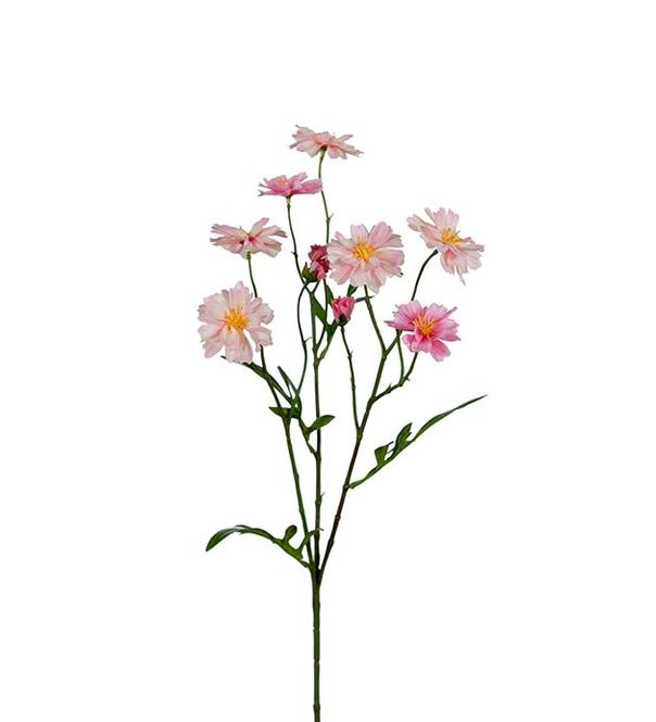 Hovedbilde KVIST Kosmos Rosa