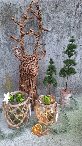 Hovedbilde Furu På Stubbe 3-pk