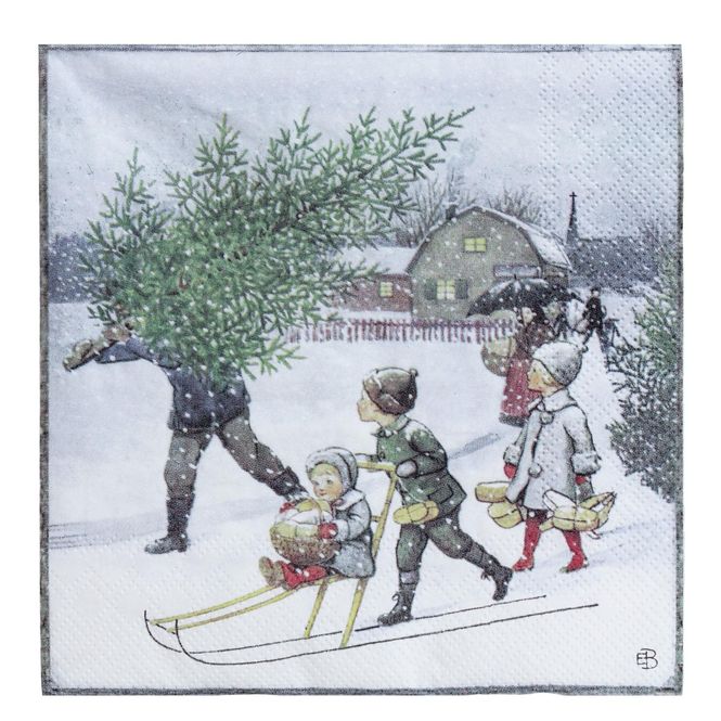 Hovedbilde SERVIETTER Elsa 