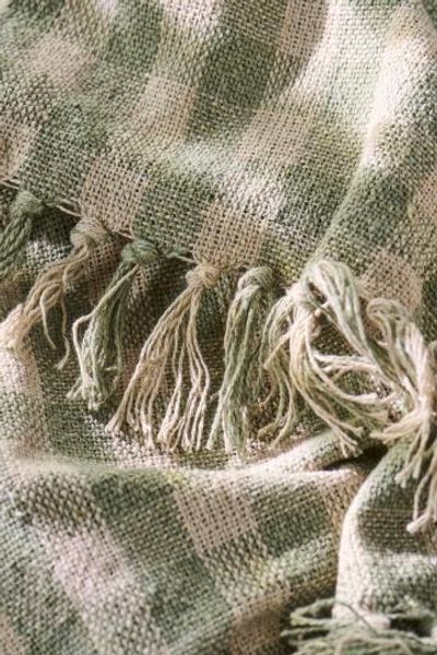 Hovedbilde PLEDD med Ruter Natur/Grønn ...