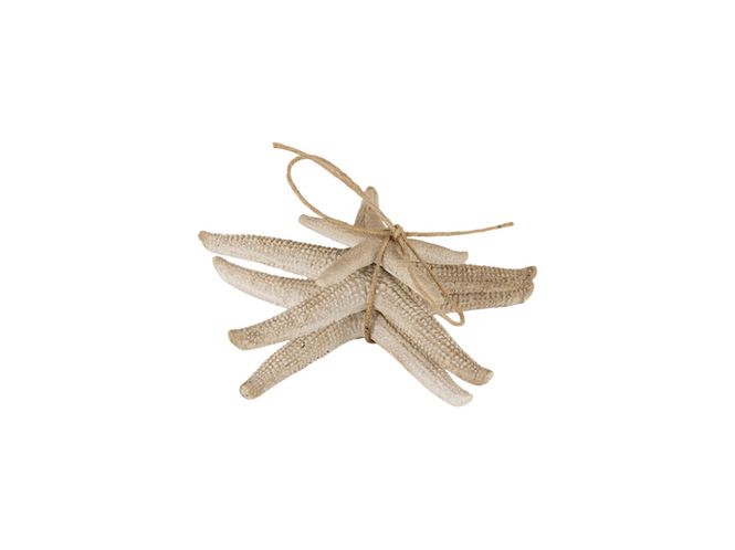 Hovedbilde SJØSTJERNE 3-pk 11cm