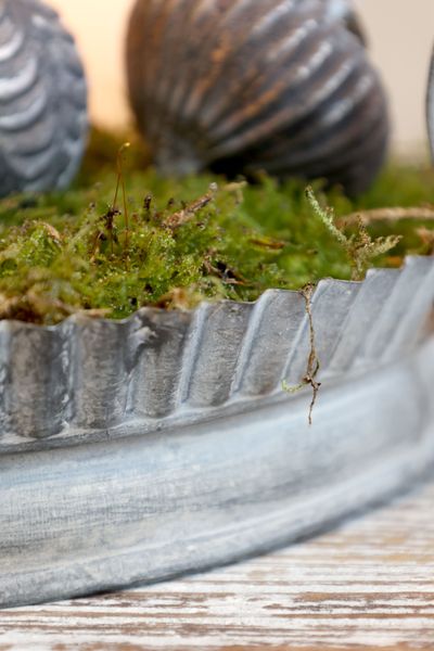 Hovedbilde FAT med Hjertehåndtak 