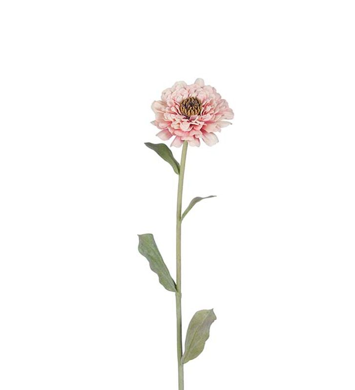 KVIST Zinnia Rosa