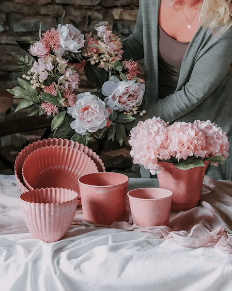 Hovedbilde KRANS Pion & Sukkulenter 